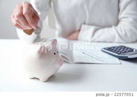 豚の貯金箱 豚の貯金箱 22577051