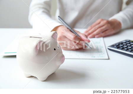 豚の貯金箱 22577053