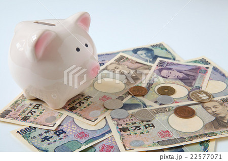 豚の貯金箱 豚の貯金箱 22577071