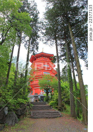 金乗院　五重塔 22577135