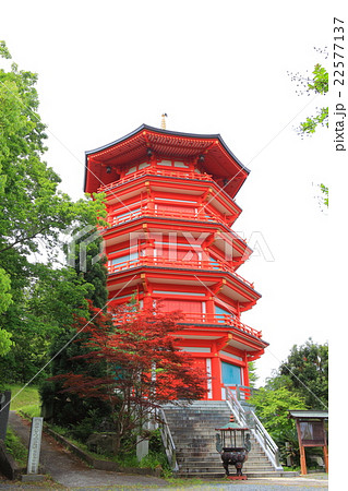 金乗院　五重塔 22577137