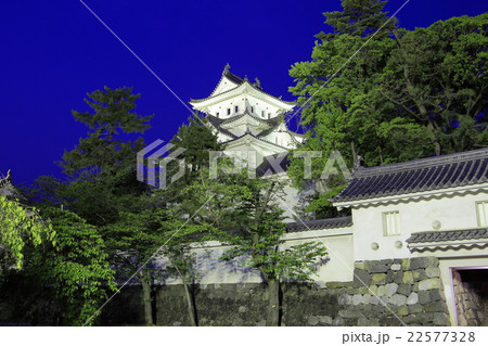 大垣城夜景 22577328