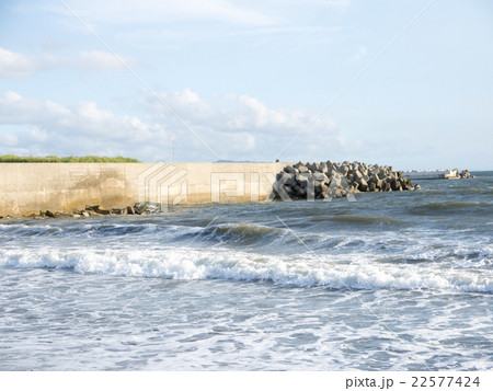 夏の海水浴 22577424