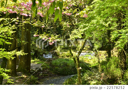 池山水源 池山水源 22578252