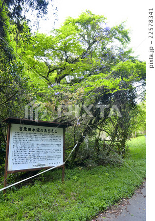 吉無田水源 吉無田水源 22578341