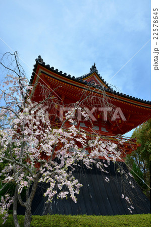 京都　御室仁和寺　鐘楼（2016.4） 22578645