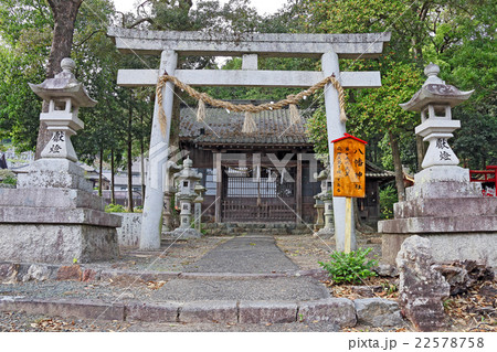 細江神社 細江神社 22578758