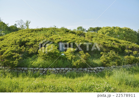 大仙公園 七観音古墳 22578911