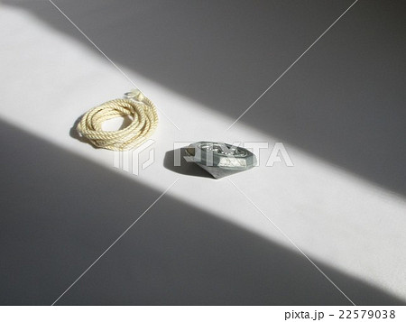 ベーゴマ 22579038