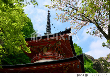法輪寺　多宝塔（2016.4） 22579227
