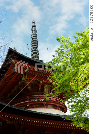 法輪寺　多宝塔（2016.4） 22579230