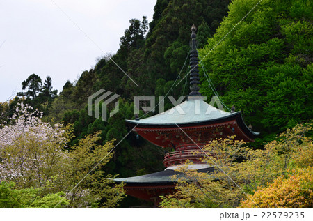 法輪寺　多宝塔（2016.4） 22579235