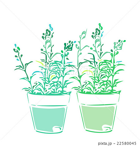 観葉植物 単色 緑 造花 花 植木鉢 癒し 植物 葉 リフレッシュ 女性のイラスト素材