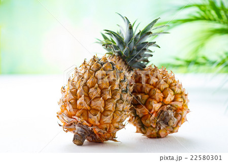 スナックパイン スナックパイン 22580301