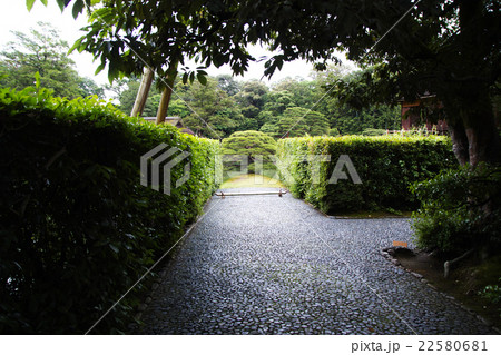 桂離宮 住吉の松 22580681