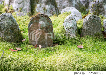新緑の化野念仏寺(あだしのねんぶつじ)(京都の風景) 新緑の化野念仏寺(あだしのねんぶつじ)(京都の風景) 22580925