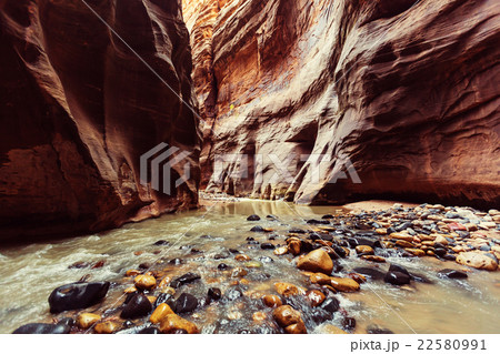 Canyon in Zion 22580991