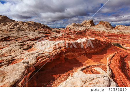 White pocket 22581019