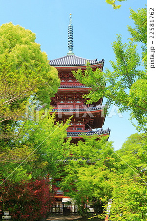 志度寺 五重塔 志度寺 五重塔 22581762