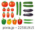 野菜各種_001 22581915