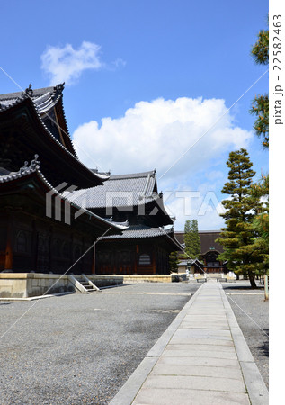 妙心寺 仏殿・法堂(2016.4) 妙心寺 仏殿・法堂(2016.4) 22582463