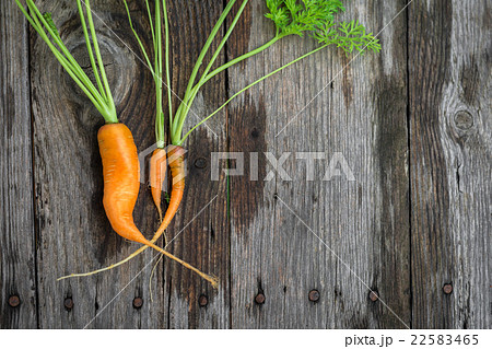 Ugly baby carrot on barn wood Ugly baby carrot on barn wood 22583465