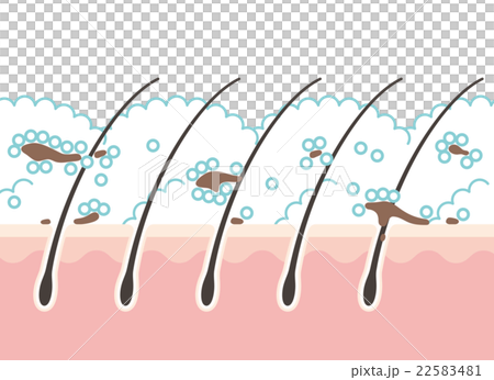 Scalp during washing 22583481