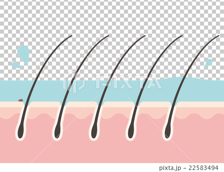 Scalp during rinse 22583494