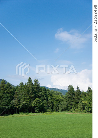 田んぼと青空 田んぼと青空 22583499