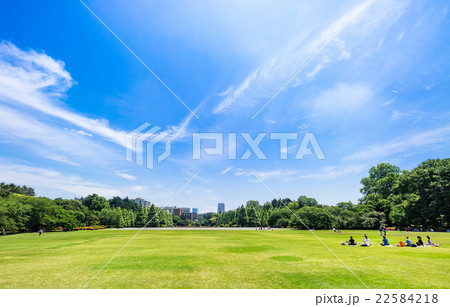 休日の公園 22584218