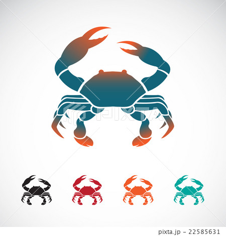 Set of vector crab icons design のイラスト素材 [22585631