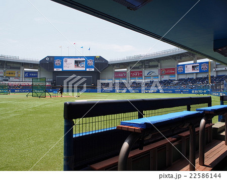 ベンチ裏 22586144