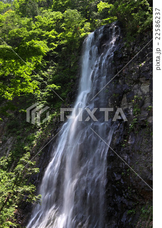 立又渓谷 一の滝 立又渓谷 一の滝 22586237