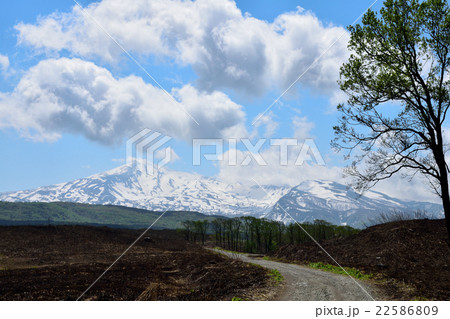 野焼き後の冬師湿原と鳥海山 野焼き後の冬師湿原と鳥海山 22586809