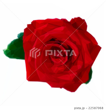 one red rose one red rose 22587068
