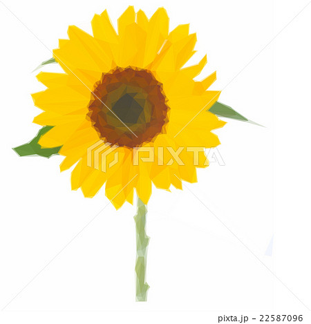 one bight sunflower 22587096
