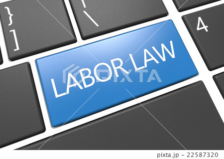 Labor Law 22587320