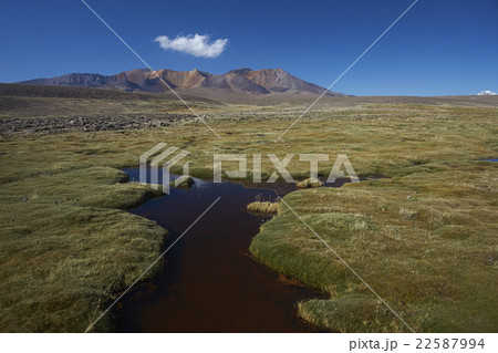 Lauca National Park 22587994