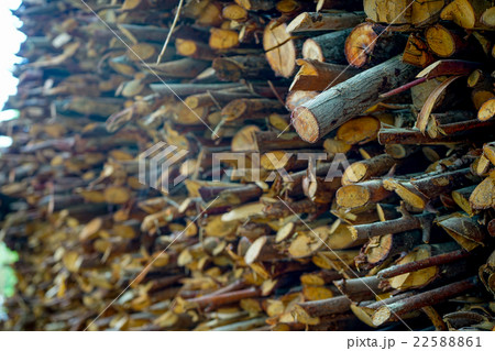 firewood 22588861