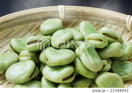 茹でたての空豆2 茹でたての空豆2 22588942