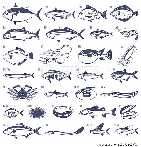 最高のイラスト画像 50 素晴らしい魚 イラスト リアル 簡単