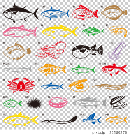 魚いろいろ 22589276