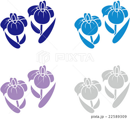 あやめ かきつばた 花しょうぶ アイリス 紫紺青のイラスト素材