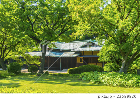 諏訪の茶屋 22589820