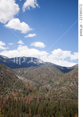 キングズ・キャニオン国立公園: Kings Canyon National Park 22590372