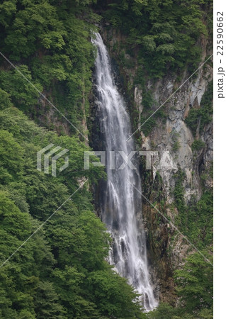 志賀高原澗満滝の初夏 志賀高原澗満滝の初夏 22590662
