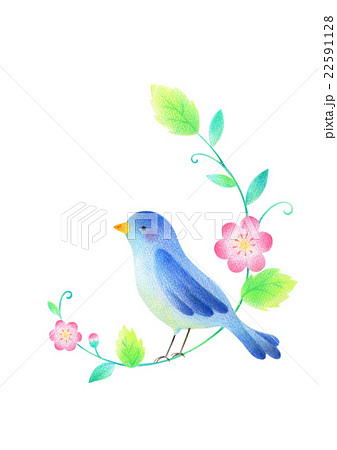 青い鳥と草花のイラスト素材