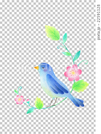 Blue birds and flowers Blue birds and flowers 22591128