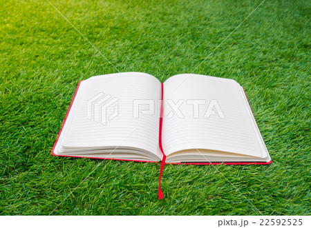 Notebook on spring green grass 22592525
