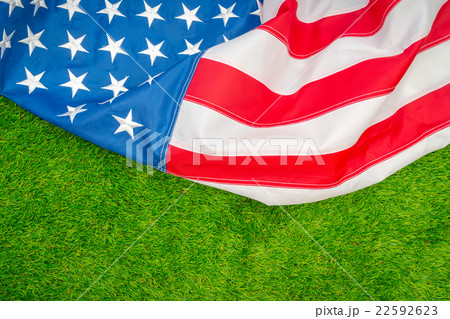 American flag on green grass 22592623